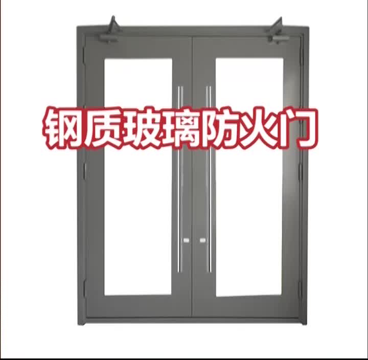 【新哲防火门窗】钢质玻璃防火门,铝合金玻璃防火门,钢质防火窗